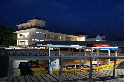 Glistening Waters Luminous Lagoon Boat Tour in Falmouth Jamaica