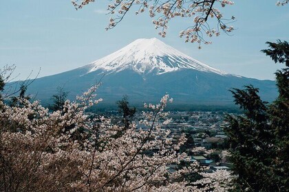 Private Mount Fuji Tour: Scenic Views, Lakes & Local Culture