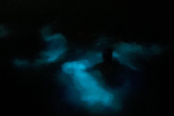 Mystic Waters A Bioluminescent Night Tour
