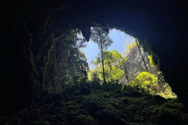 Jomblang and Pindul Cave Small Group Tour With Transfer and Lunch