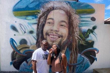 Bob Marley House and Dunns River Falls Private Tour