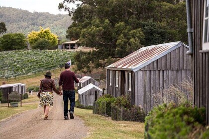 Huon Harvest (wine, cider & local produce)