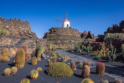 Lanzarote Private Tour: Discover César Manrique’s Masterpieces