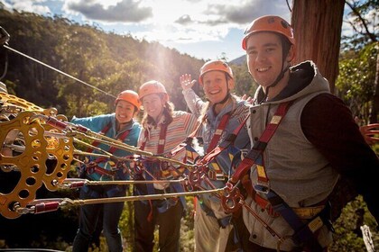 Launceston Hollybank Tree Ropes Experience