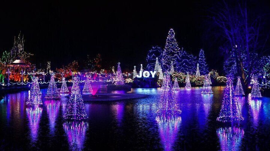Vancouver and VanDusen Holiday Lights Tour