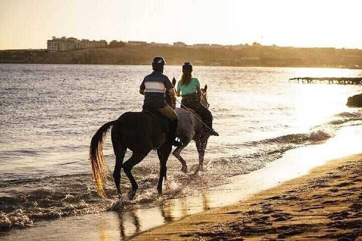 Desert and Sea: A One-Hour Horseback Adventure in Sharm El-Sheikh