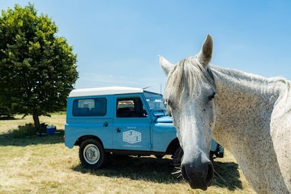 Private Full Day Burgundy Wine Tour by vintage Land Rover (Lyon)