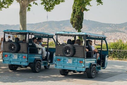 3hr Barcelona Panoramic Private Tuk-Tuk Tour