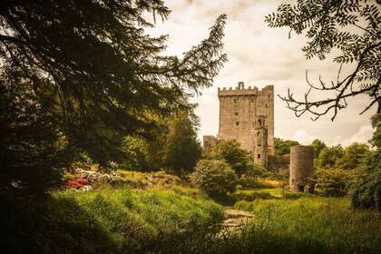 Irlanda Excursión de 3 días al Castillo de Blarney, Kilkenny y el Whisky Ir...