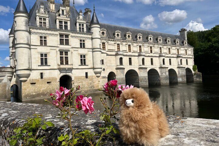 Small Group 3 Loire Valley Castles & Wine Tasting Guided Tour