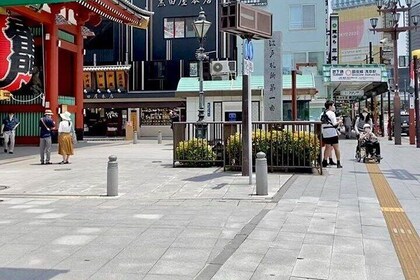 Tokyo and Yokohama Private Tour with Guide