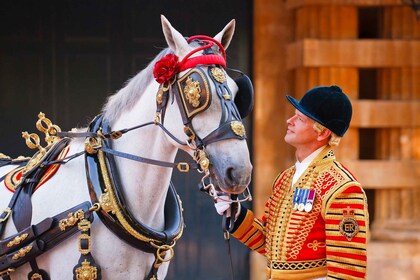 Buckingham Palace: Toegangsbewijs voor de Royal Mews