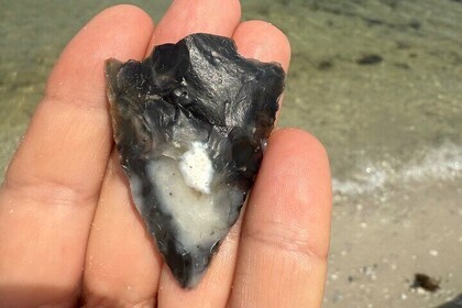 3 hour E.G. Simmons Park Mangrove Tunnel Tour