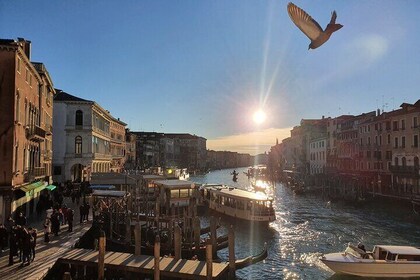 St Mark's Square and Rialto Bridge Tour