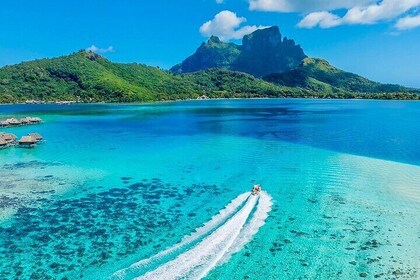 Bora Bora crazy sea and land Adventure