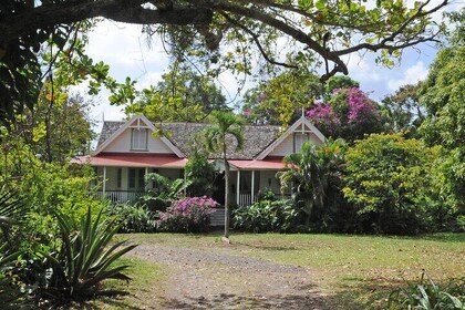 Balembouche Estate Sugar Mill and Beach Tour