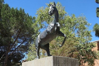 Cal Poly Scavenger Hunt and Escape Game