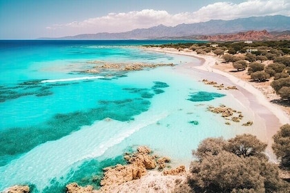 Elafonisi Beach Shore Trip from Chania/Souda: Crete’s Coastal Gem