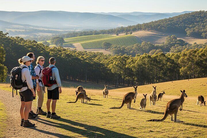 Hiking with Kangaroos