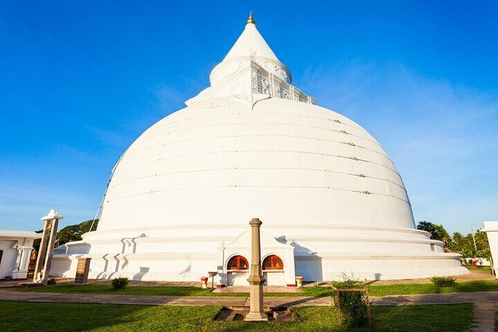 Village, Wildlife & Temple Visit Tour from Hambantota Port