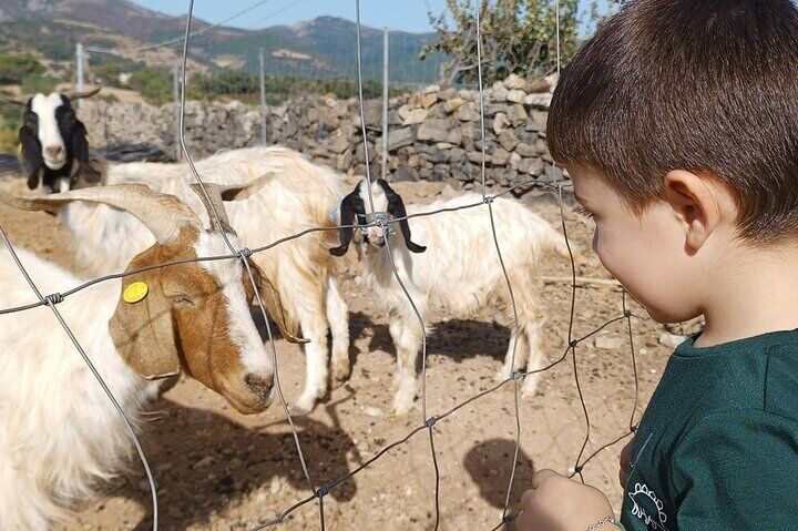 Seulo Farm Tour with Tasting
