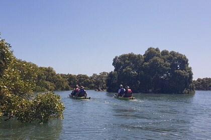 Guided Kayak Adventure Tour