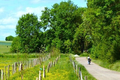 Mountain bike rides DE la Vallée du Château DE Versailles