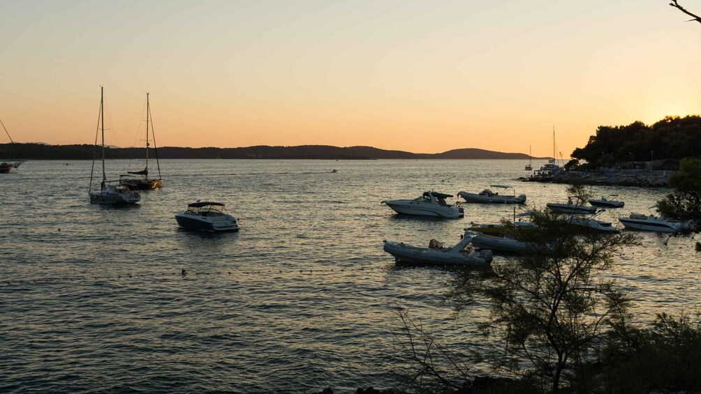 Picture 4 for Activity Split: Luxury Private Boat Trip to Hvar & Pakleni Islands