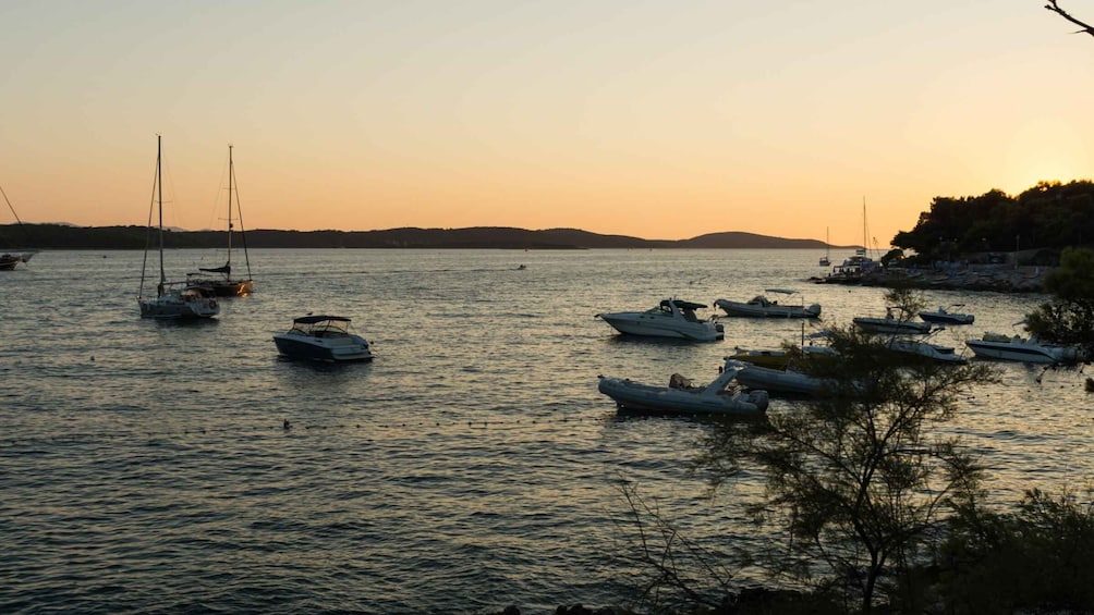 Picture 1 for Activity Split: Private Boat Trip to Hvar & Pakleni Islands