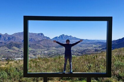Tailored Cape Winelands Private Tour Including Wine Tasting