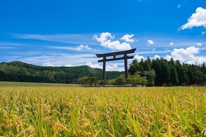 Kumano Kodo Sacred Trail Walk