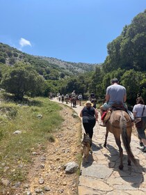 From Agios Nikolaos: Day Tour to Zeus Cave & Lasithi Plateau