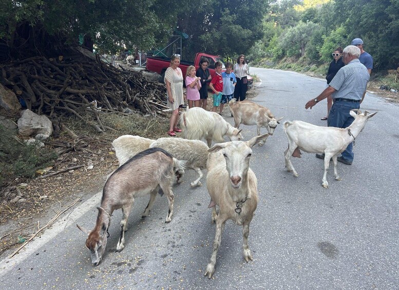 Picture 4 for Activity From Agios Nikolaos: Day Tour to Zeus Cave & Lasithi Plateau