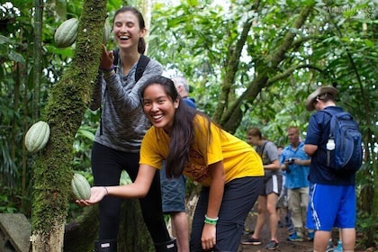 Chocolate and Cultural Tour in Costa Rica