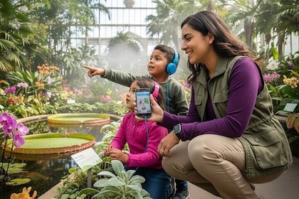 Washington DC Self Guided Audio Experience