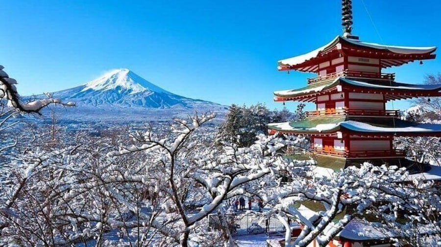 Tokyo Mt Fuji Lake Kawaguchiko Japanese Calligraphy 1 Day Tour