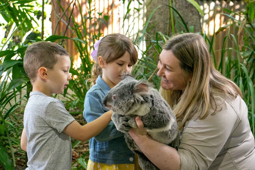 Picture 1 for Activity Currumbin Wildlife Sanctuary Ticket & Koala Photo