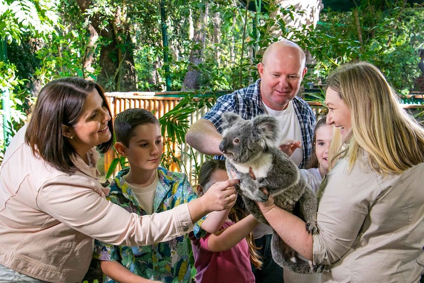 Picture 2 for Activity Currumbin Wildlife Sanctuary Ticket & Koala Photo