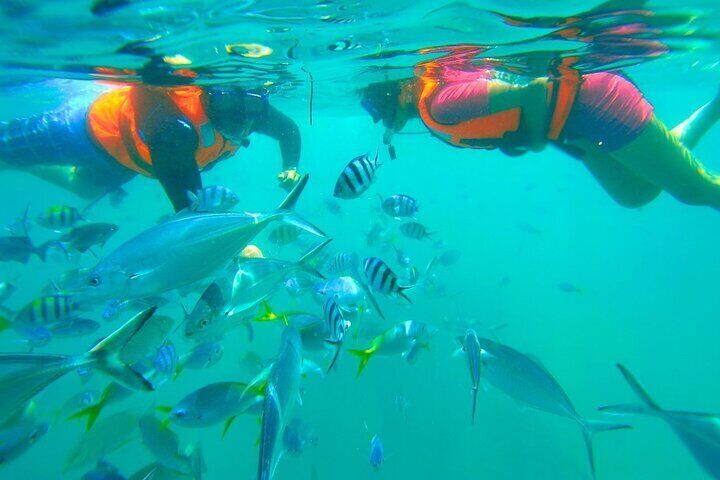 Kota Kinabalu Snorkeling Tour at Manukan and Sapi Island 