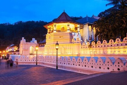 Private Kandy City Tour by TukTuk