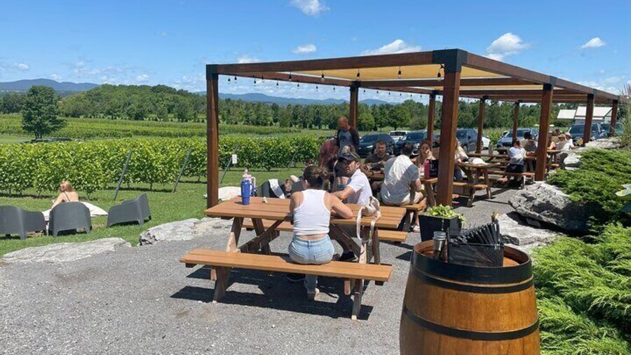 Experience île d'Orléans and the falls with a local guide