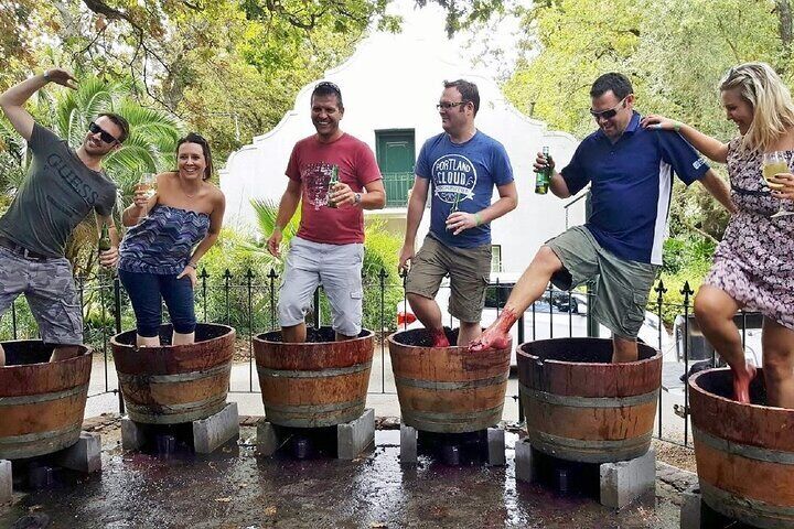 Full Day Wine Tour in Stellenbosch with Afrivista