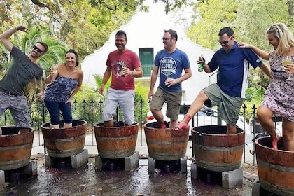 Full Day Wine Tour in Stellenbosch with Afrivista