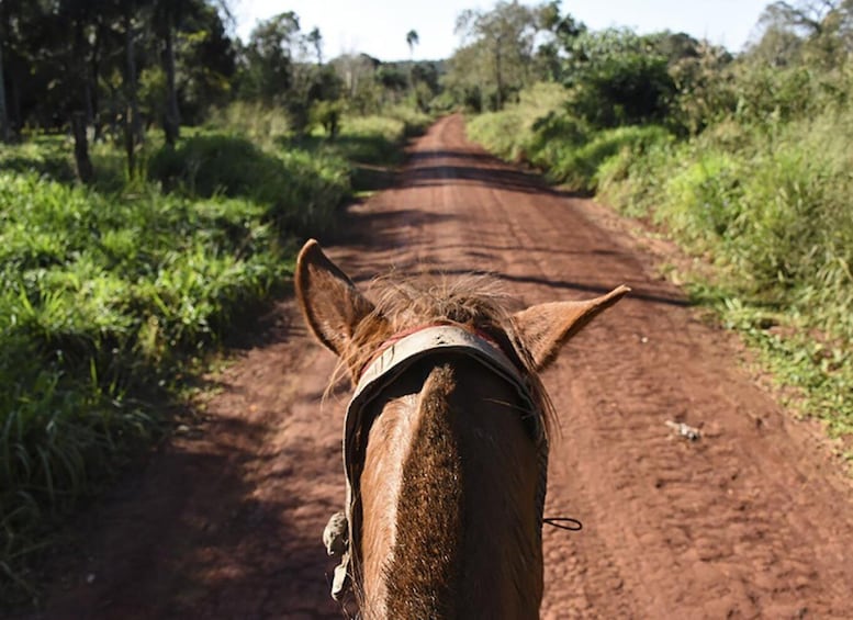 Picture 5 for Activity Puerto Iguazu: Jungle Horseback Ride with Guaraní Community