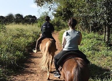 Puerto Iguazu : Jungle Horseback Ride avec la communauté guaraníe