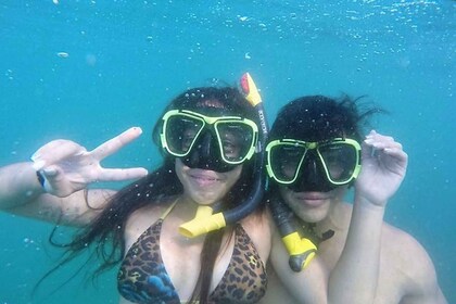 *4-Horas de Snorkel en la Isla Roqueta, Experiencia fuera de la Bahía