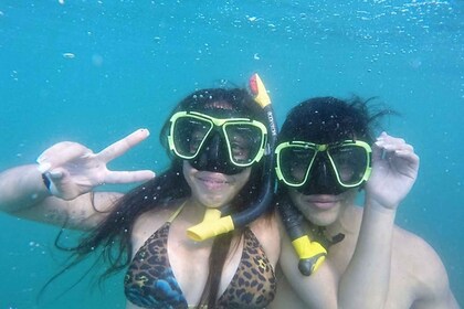 *4-Horas de Snorkel en la Isla Roqueta, Experiencia fuera de la Bahía