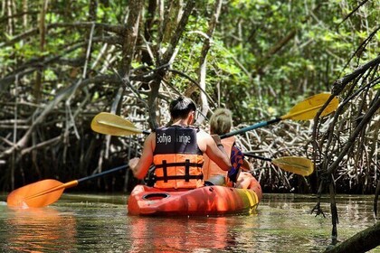 Phuket Deep Roots Jungle to Sea Kayaking and Trekking Adventure
