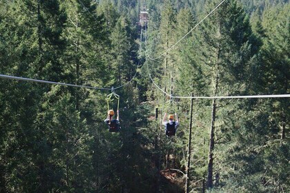 The Big Zip Experience