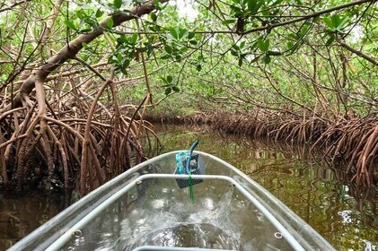 2 Hour Clear Kayak Tour at Emerson Point Preserve